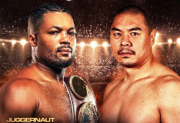 joycezhangposter_001