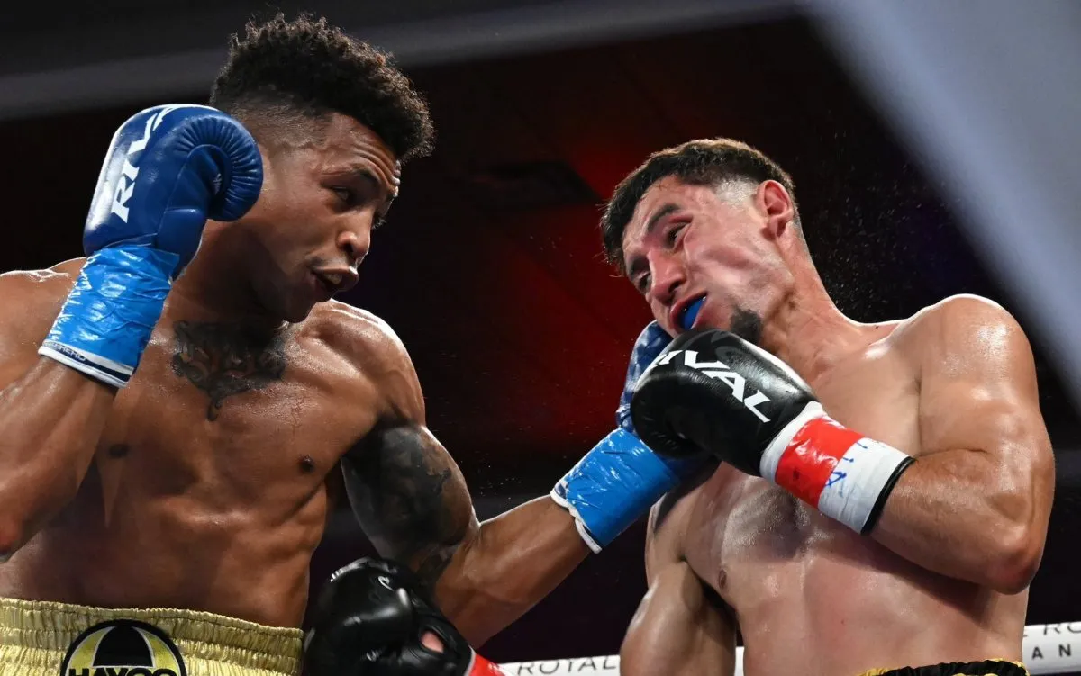 BrownMezaResultadoBOXLAB-1