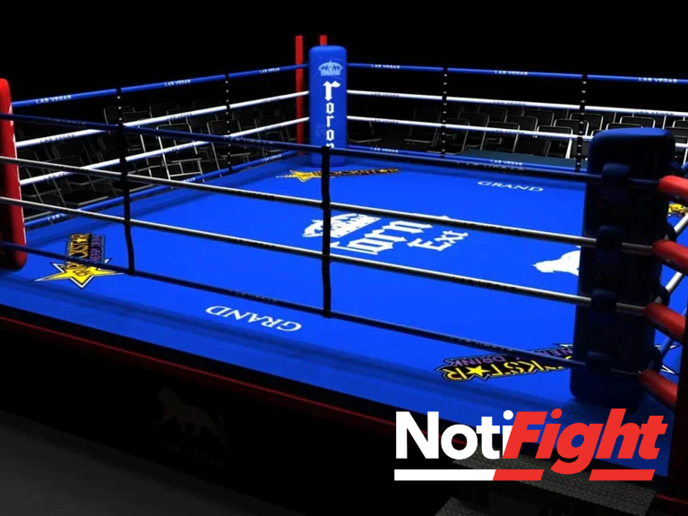 Ring de boxeo 
