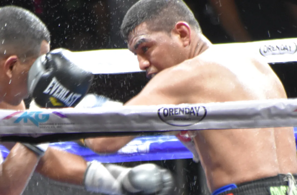 ChocolatitoBarreraResultadoFletes (5)