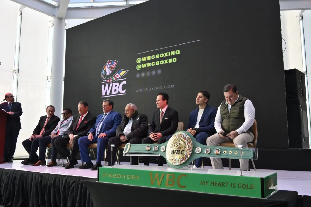 CMBcinturonMontiel-5