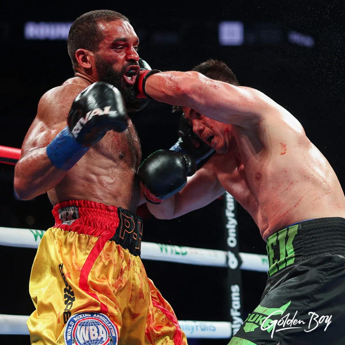 MelikuzievDibombeResultadoGBP-2