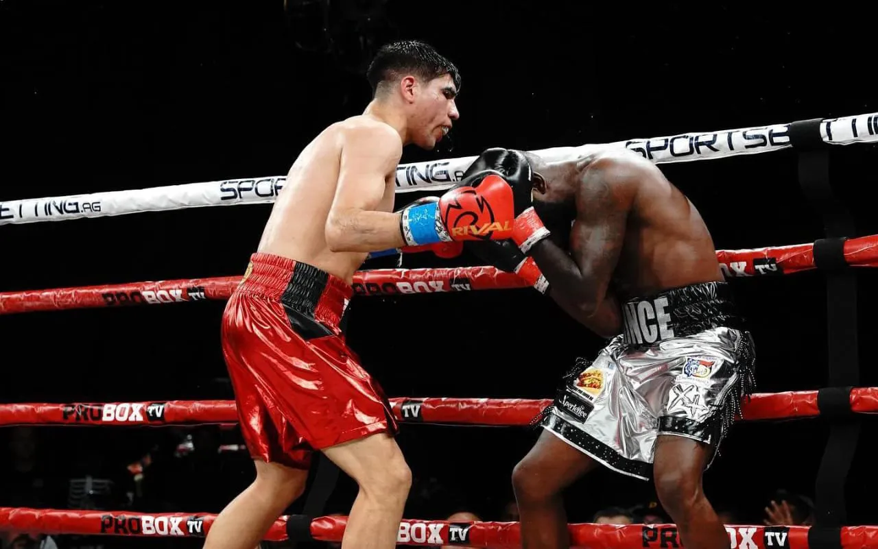 WhatsApp Image 2024-10-17 at 12.53.58 AM