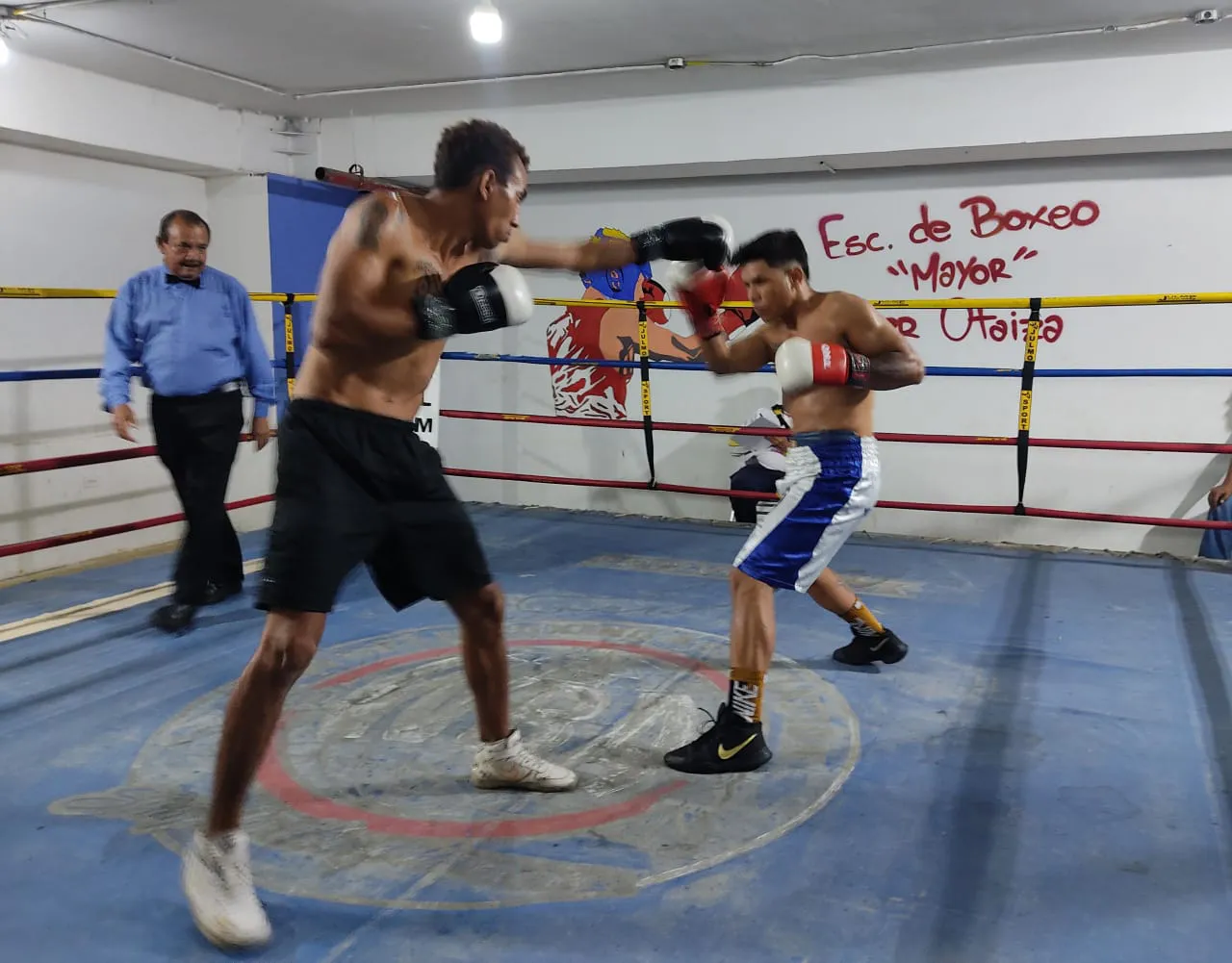 WhatsApp Image 2024-04-30 at 11.52.17 PM