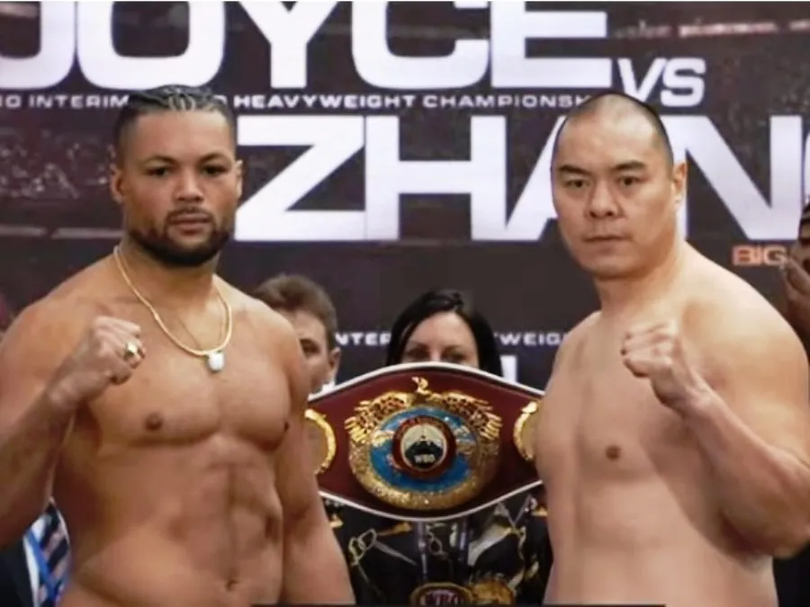 JoyceZhangPesajeQBP-1