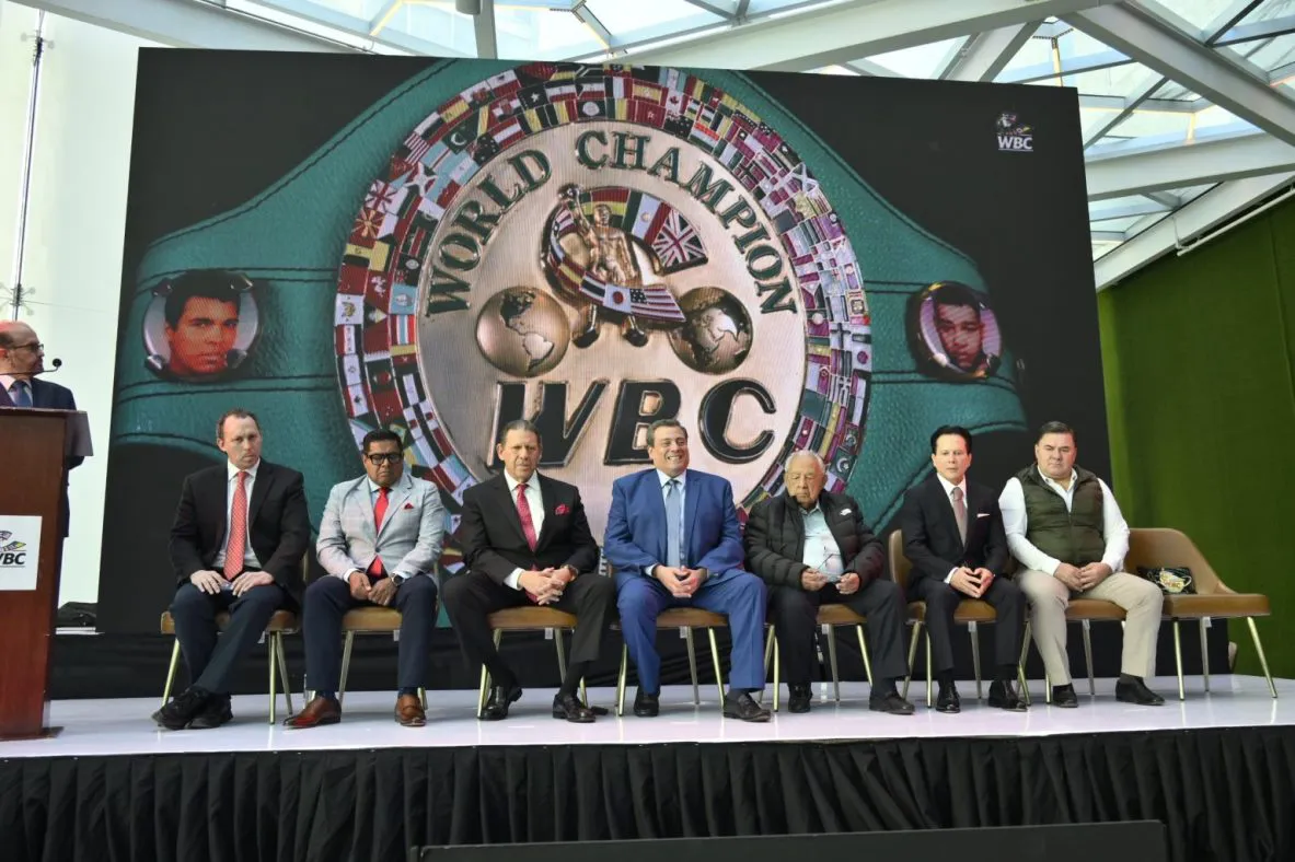 CMBcinturonMontiel-3