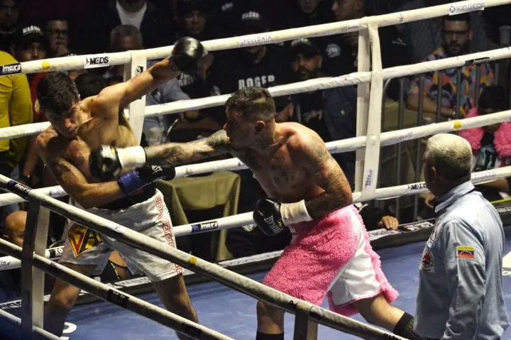 WhatsApp Image 2024-05-19 at 1.46.09 PM