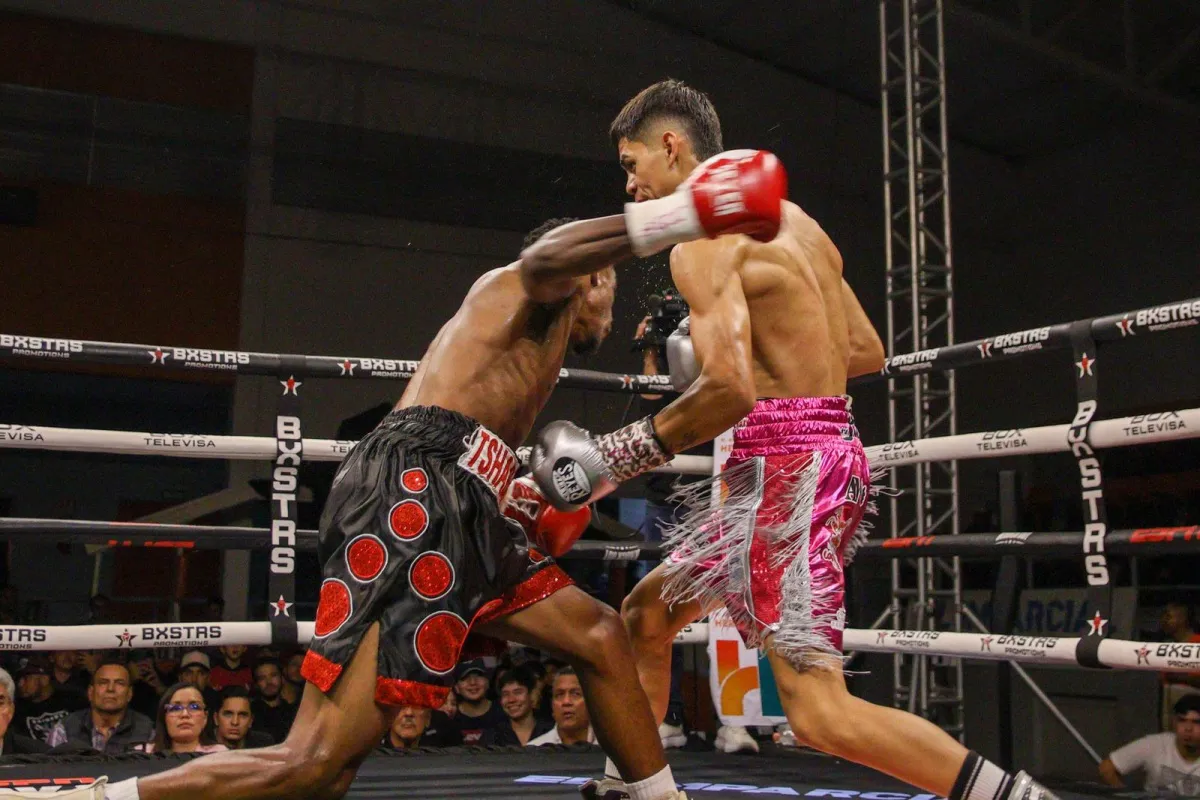 MendozaTshabalalaResultadoBX-1