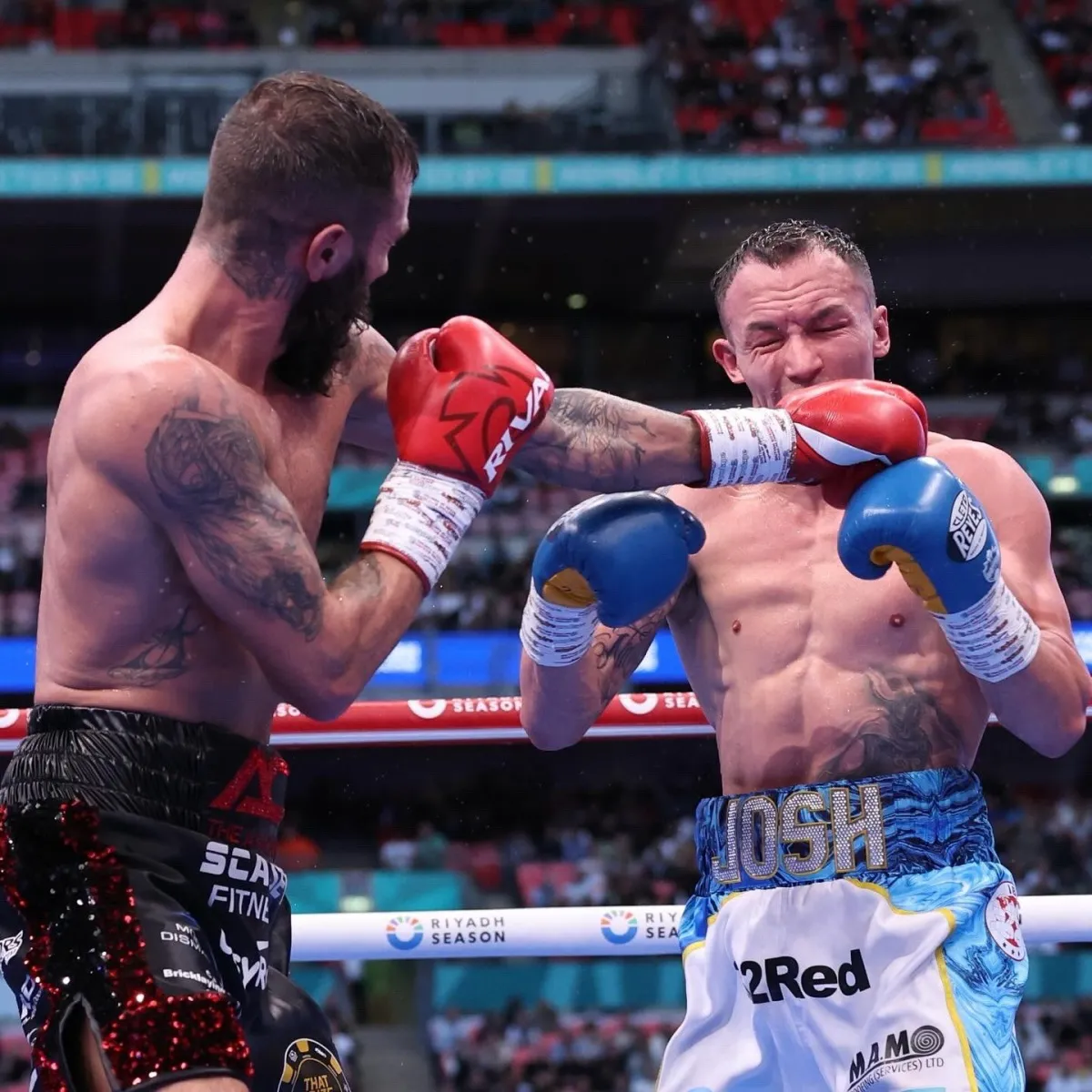 CacaceWarringtonResultadoQBP-3