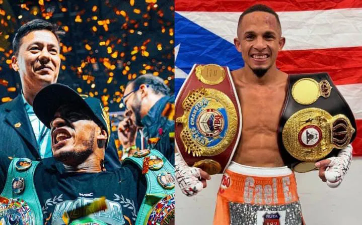 WhatsApp Image 2026-01-14 at 1.34.30 AM