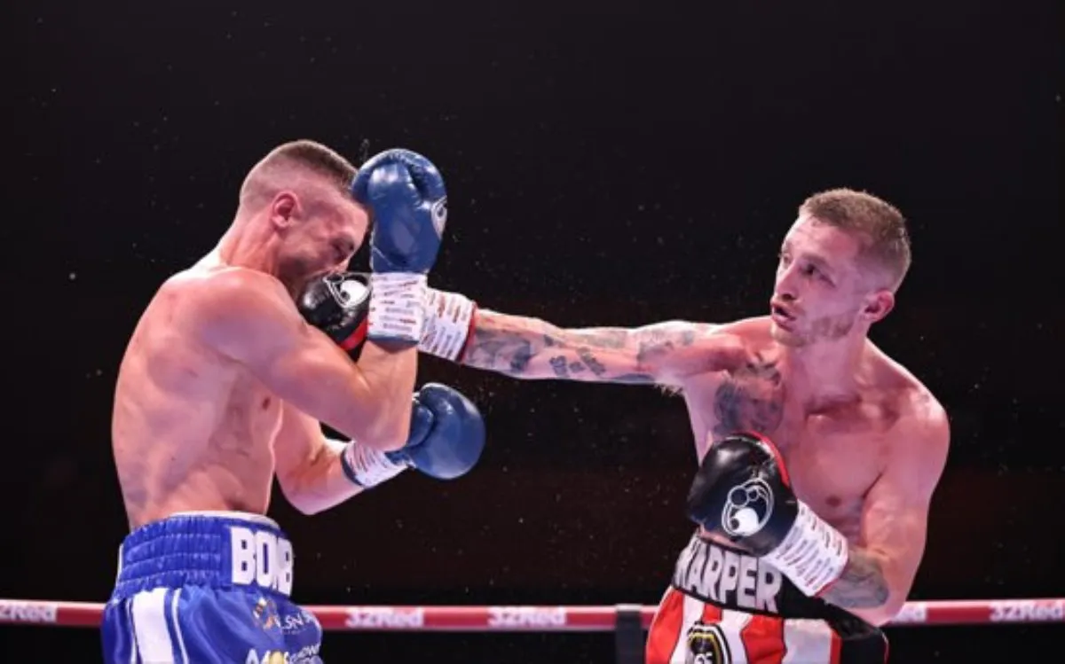 GarnerBellottiResultadoQBP