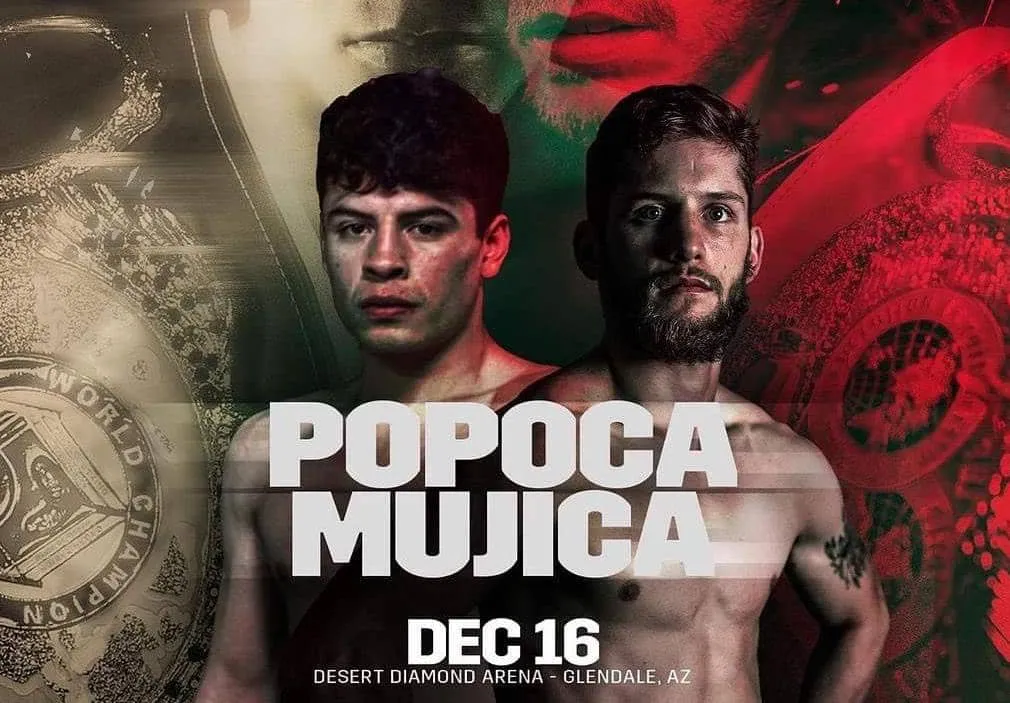 WhatsApp Image 2023-11-16 at 12.08.22 AM