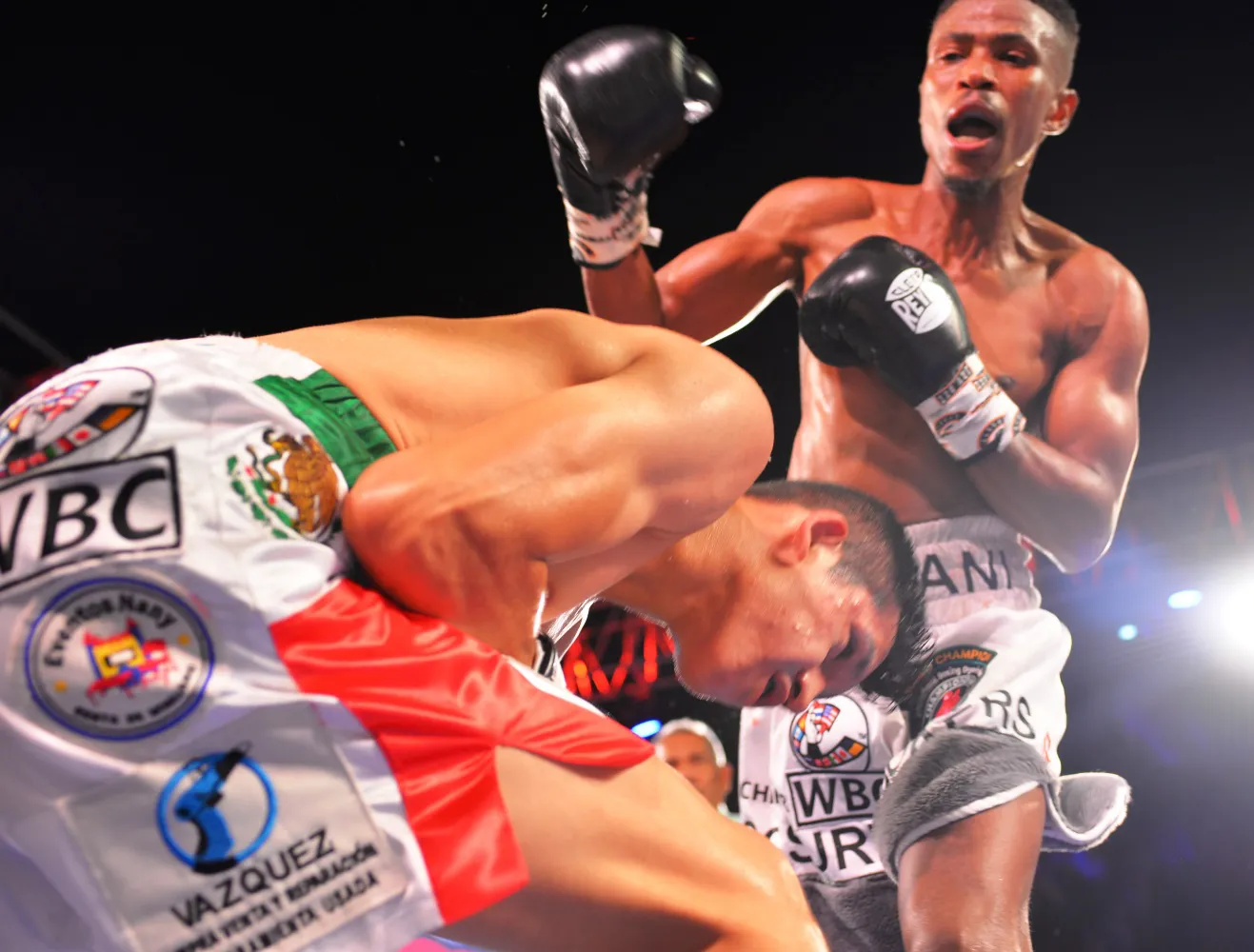 CastilloNdulani- (1)