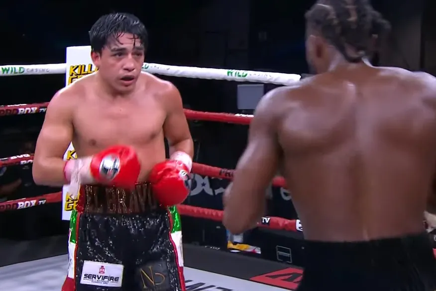 René Téllez Girón ProBox TV