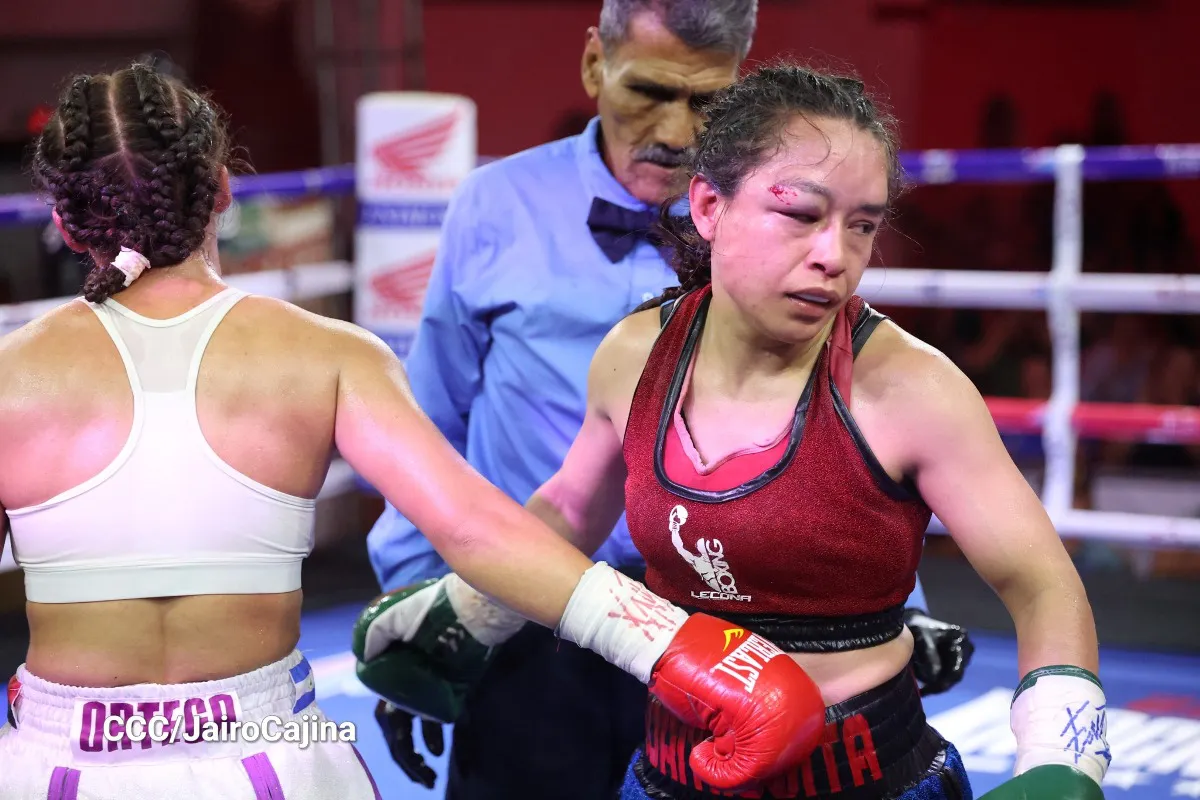 OrtegaMosinosResultadoALL-4