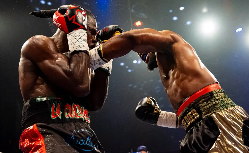 Eye of the Tiger 16