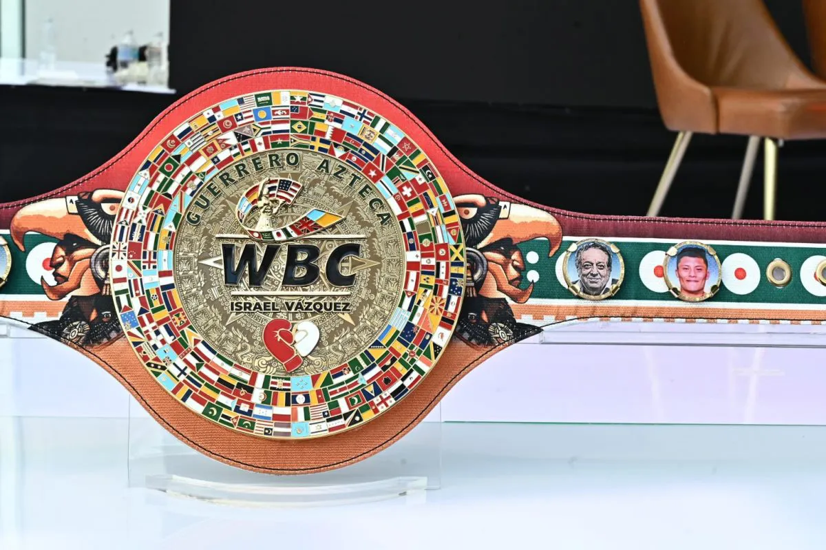 CMBcinturonMontiel-7