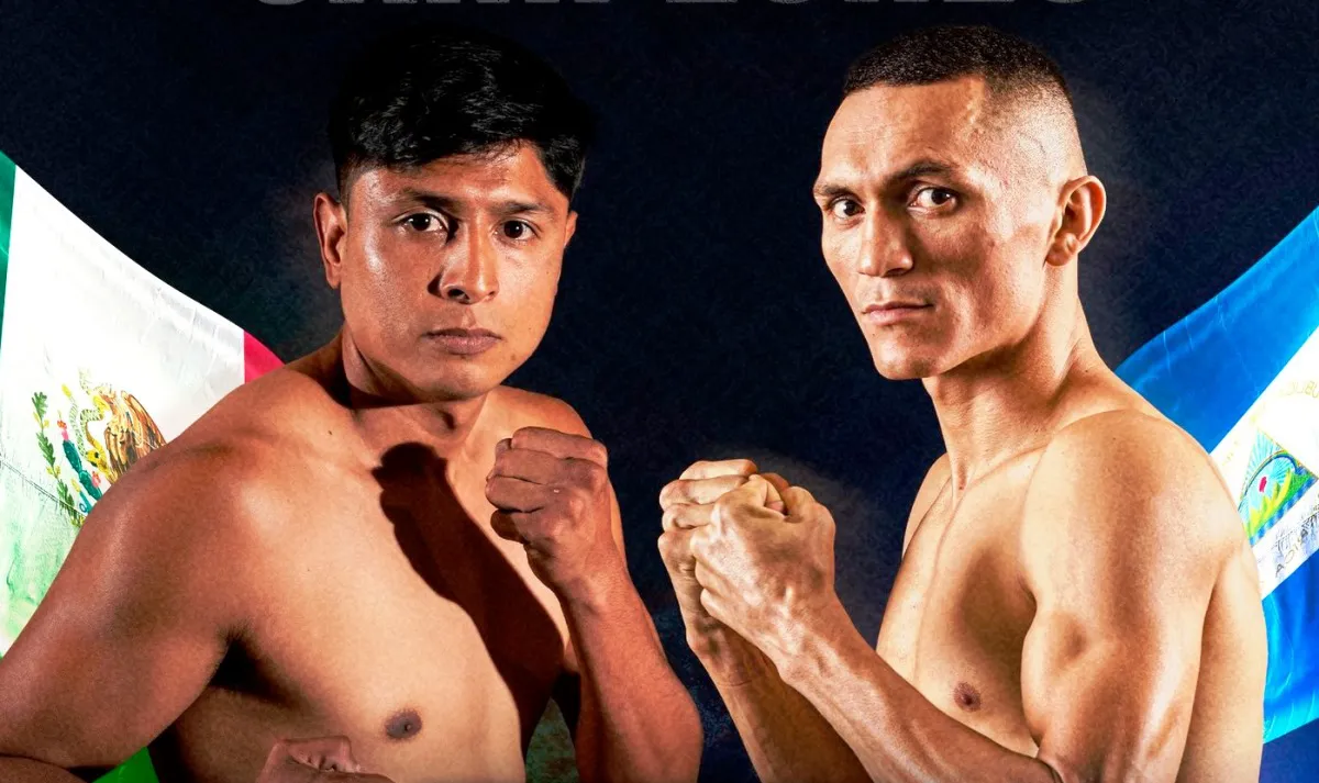 FonsecaEnciniaPoster