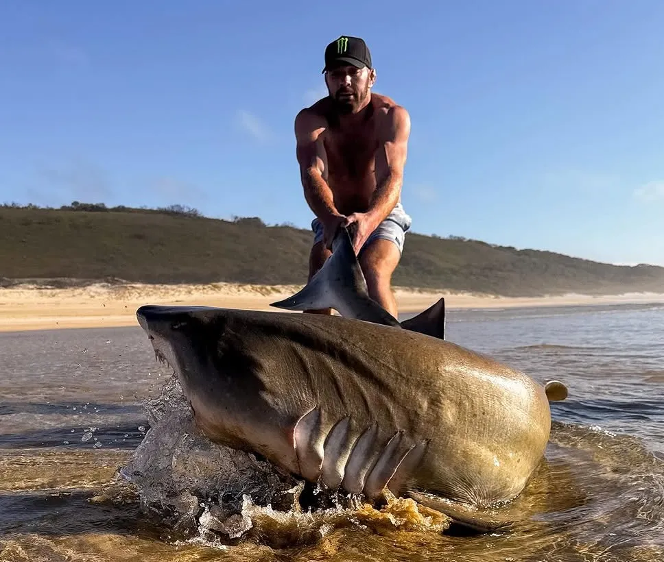 Dricus Du Plessis entrena con un tiburón