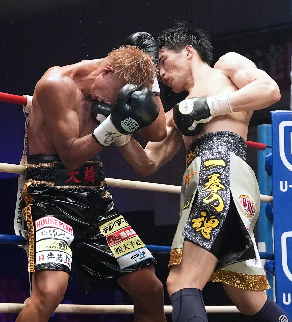 ToyoshimaAdachiResultadoNAOKI (11)