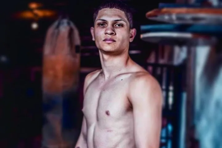 Mosquedah3h38hr83rh3r3rg3r