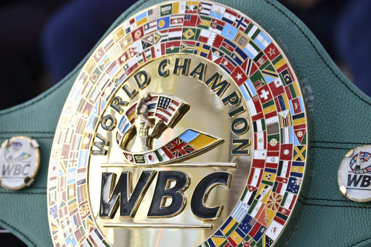 CMBcinturonMontiel-4