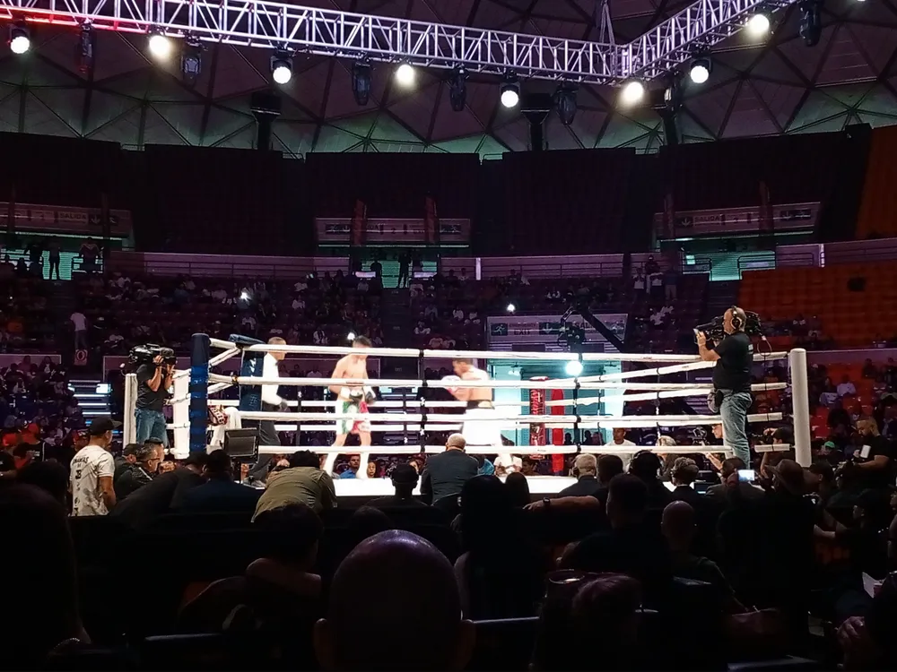 Cañizales vs García 