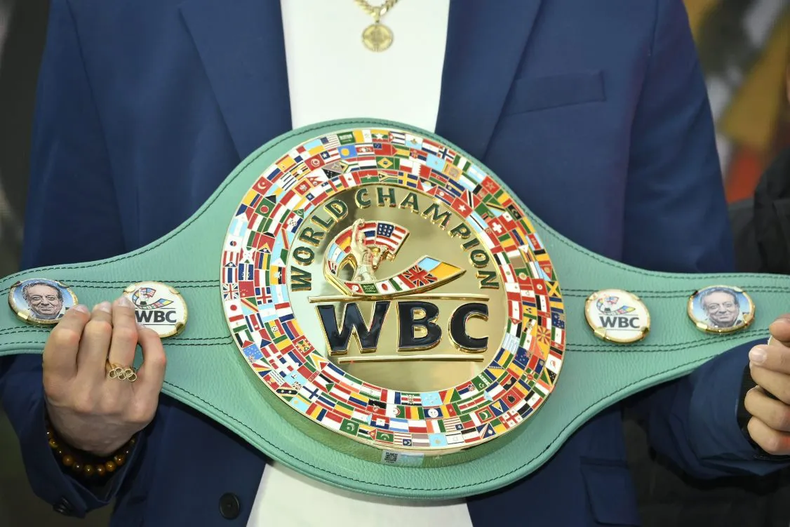 CMBcinturonMontiel-2