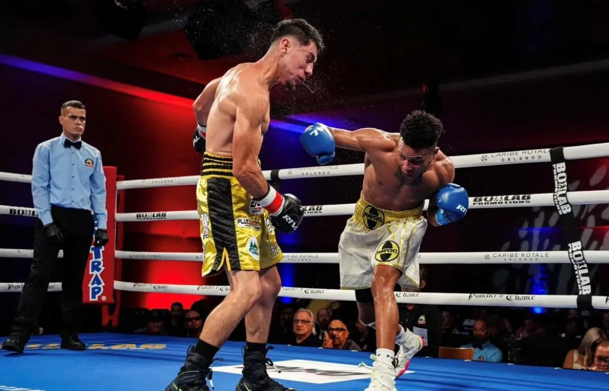 BrownMezaResultadoBOXLAB-2