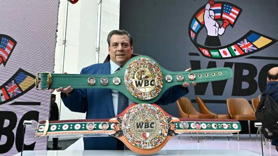 CMBcinturonMontiel-1