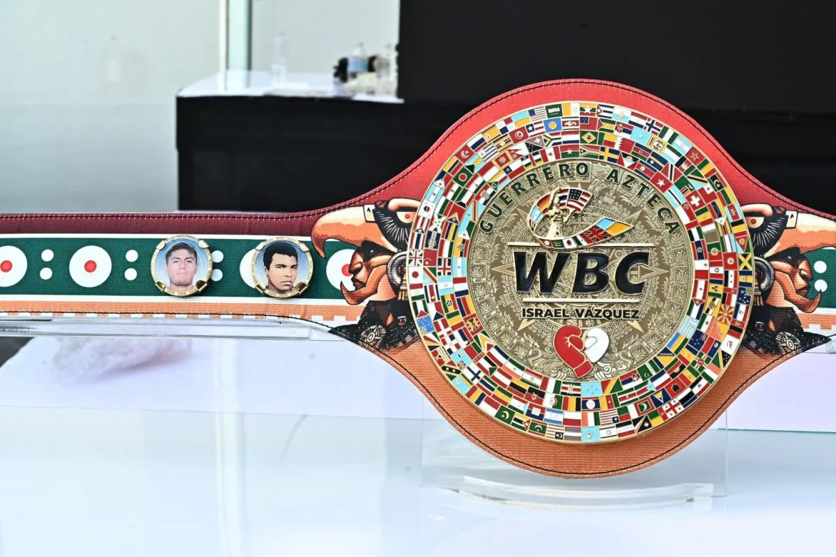 CMBcinturonMontiel-8