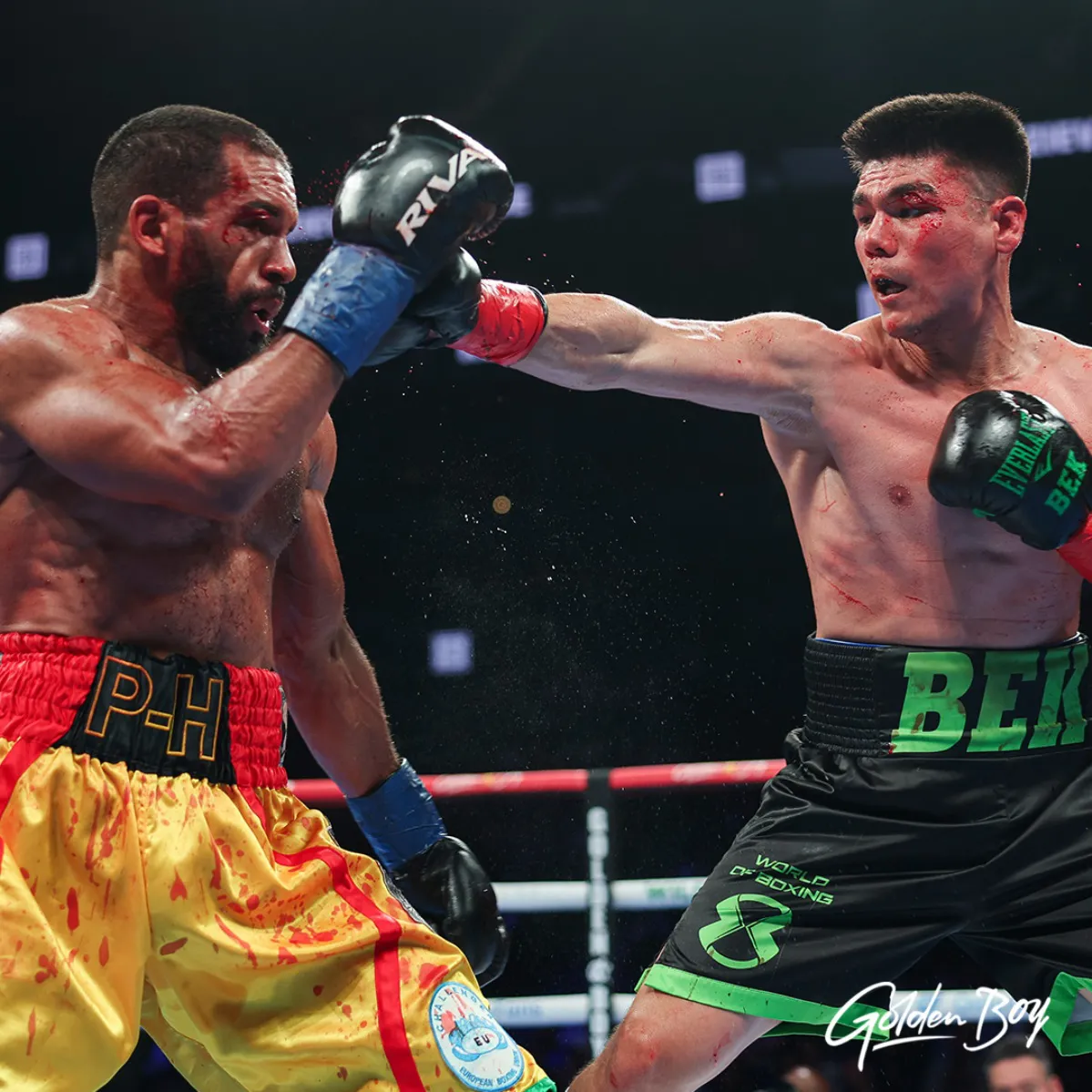 MelikuzievDibombeResultadoGBP-1