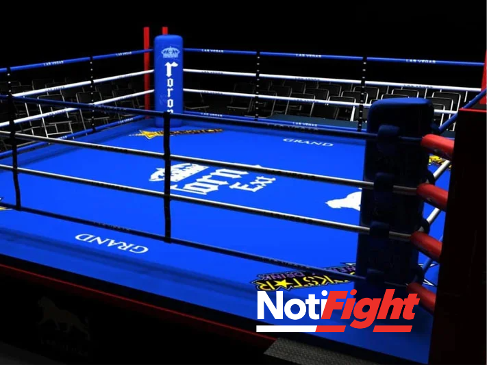 Ring de boxeo