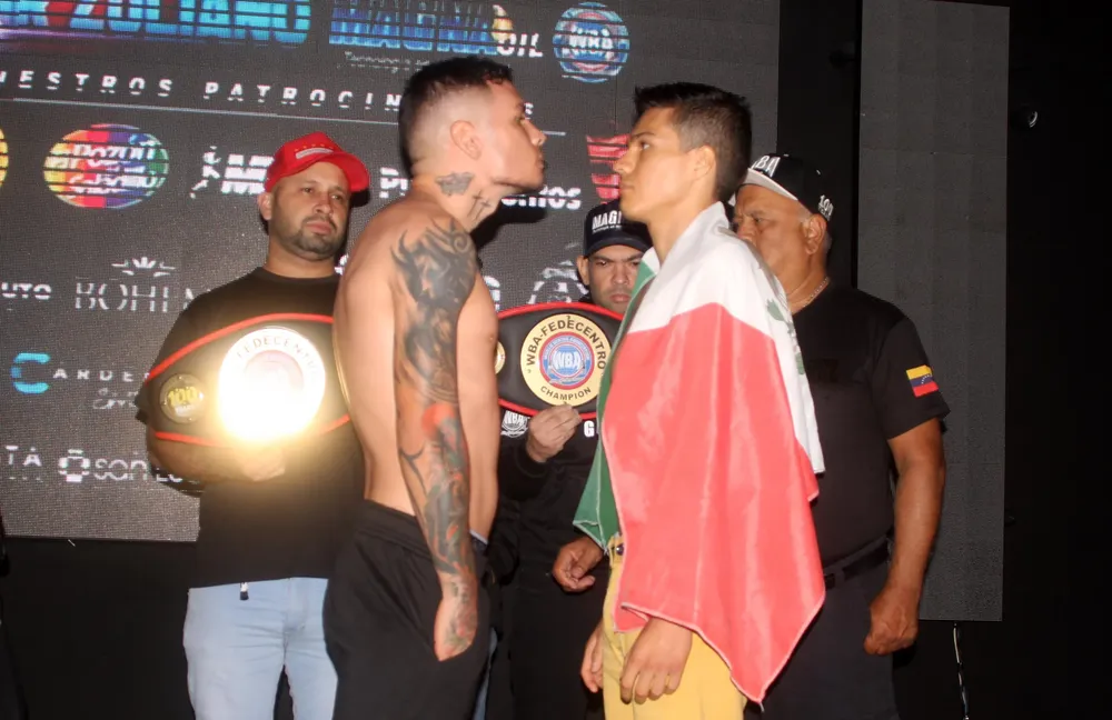 WhatsApp Image 2024-05-18 at 1.33.52 PM