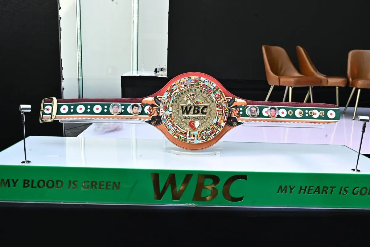 CMBcinturonMontiel-9